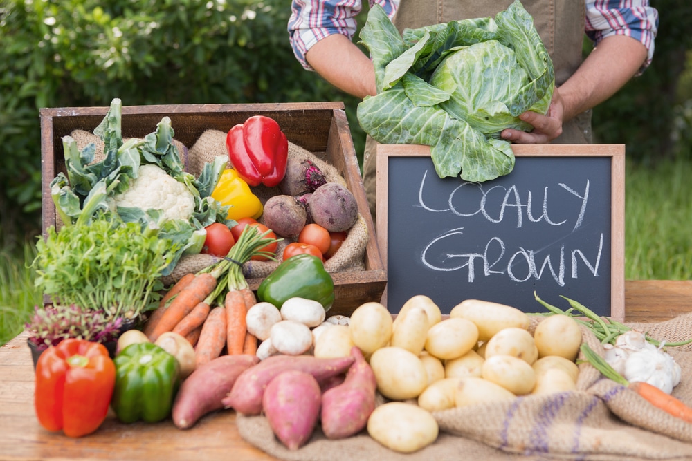 A variety of fresh vegetables are laid out on a table for sale at a farmers market — one of the exciting events near Prosper, TX.